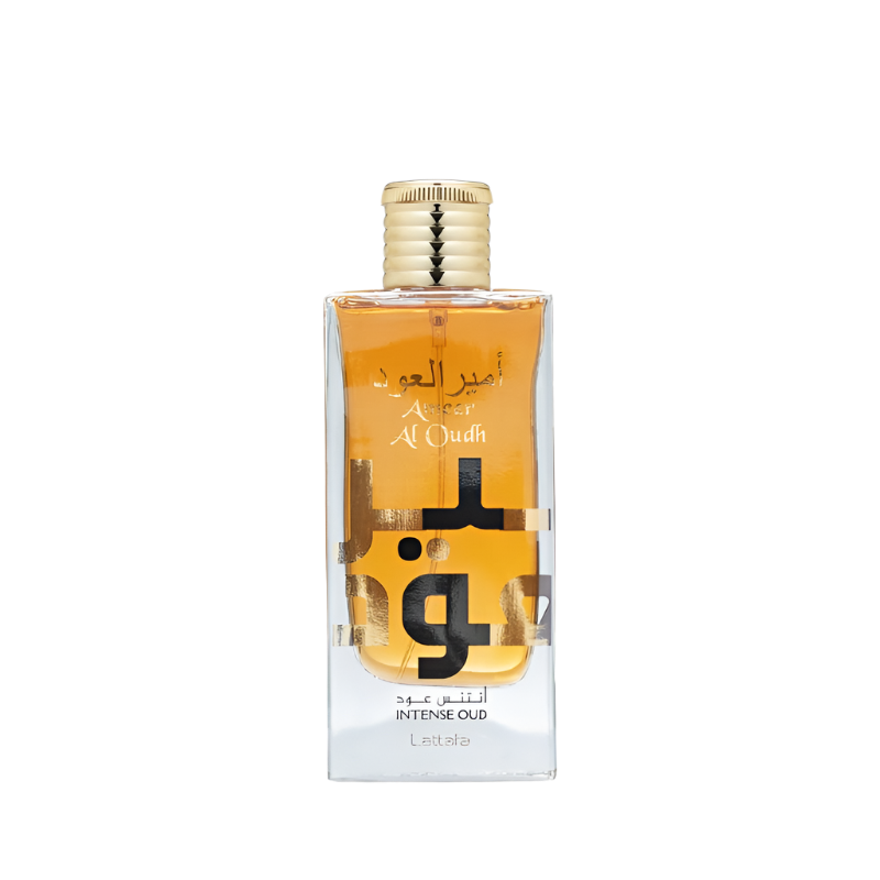AMEER AL OUDH INSPIRED BY MAISON MARGIELA REPLICA BY THE FIREPLACE - SAMPLE